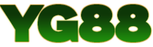 vnyg88.com Logo